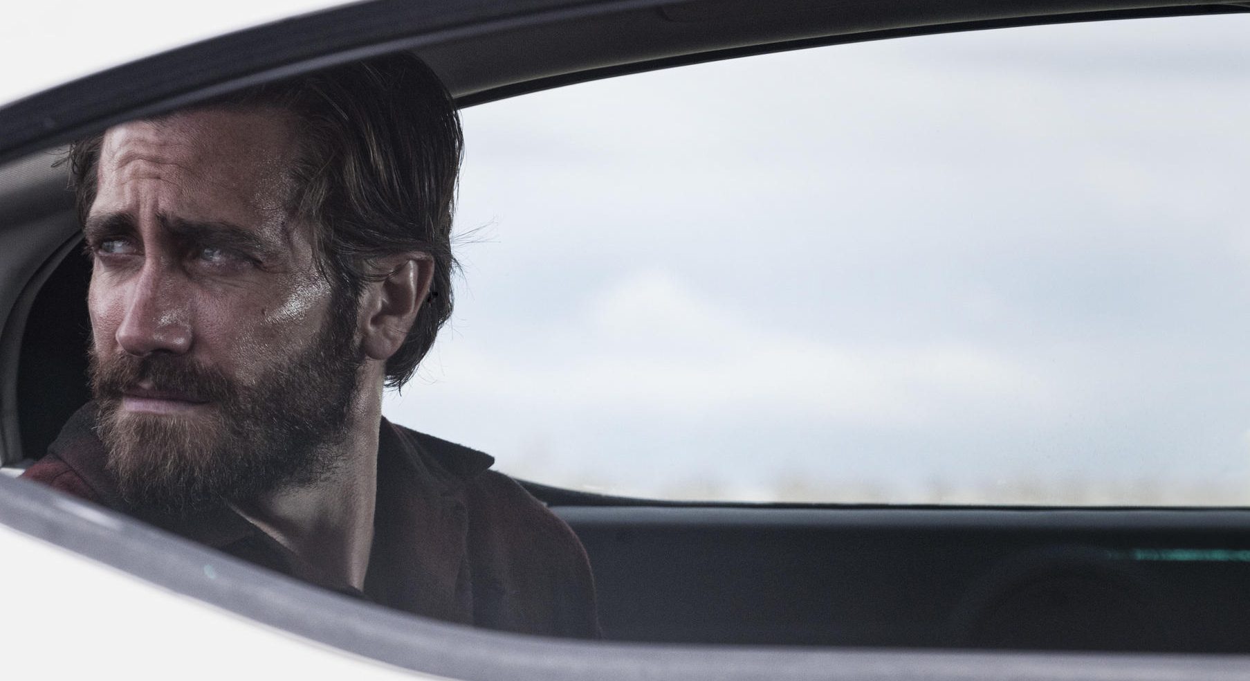 Trailer: Düster, schön, gewaltig – Tom Fords Nocturnal Animals sieht atembraubend aus