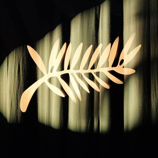 Was kann Cannes 2026? – Komplettes Programm & Trailer